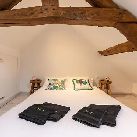 Au 56 - Centre - Quartier Saint-leonard Semesterbostad *