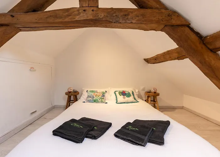 Au 56 - Centre - Quartier Saint-leonard Holiday home *